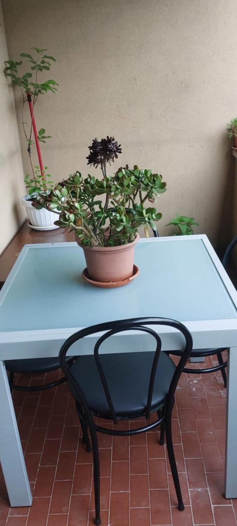 فيرونا B&B Saval المظهر الخارجي الصورة